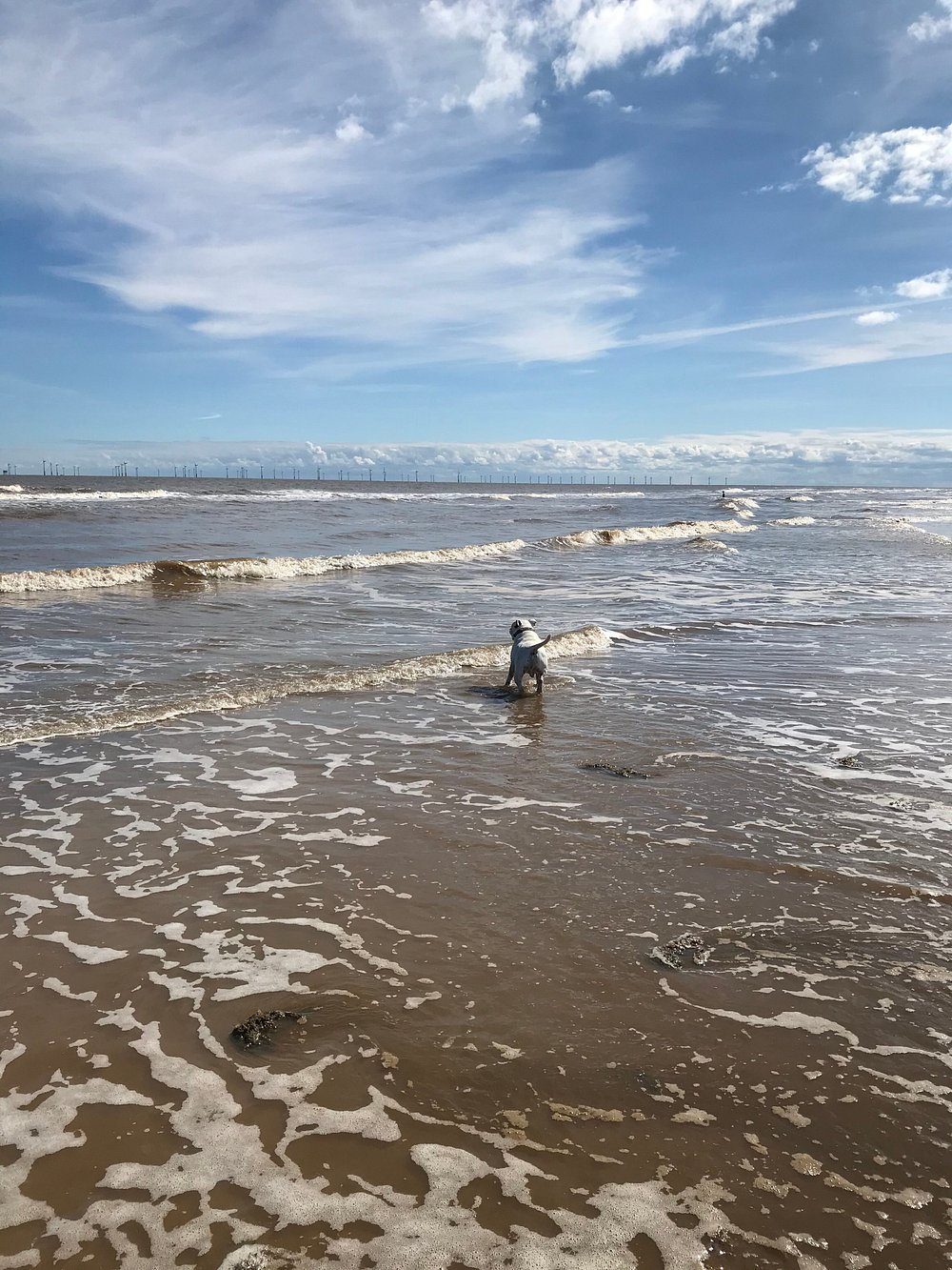 Moggs Eye Ocean View