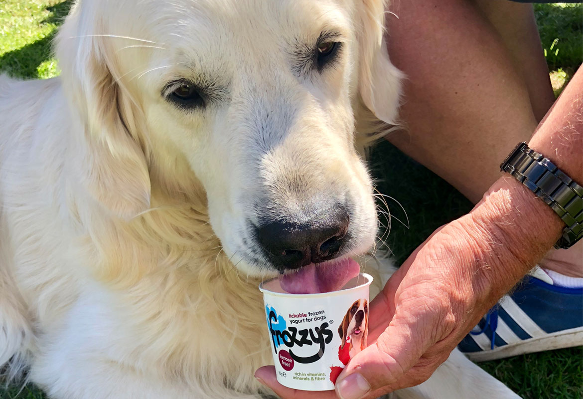 Dogs at Anderby Beach Cafe