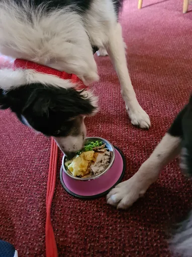 Dogs at Axe and Cleaver