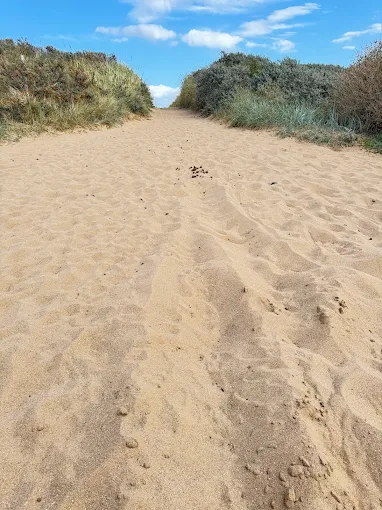 Wolla Bank Sand Dunes
